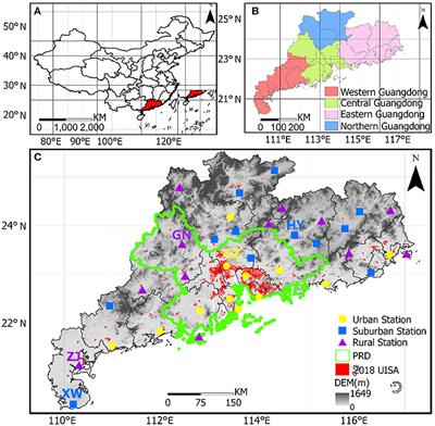 Synergistic Modulations of Large-Scale Synoptic Patterns and Local-Scale Urbanization Effects on Summer Rainfall in South China